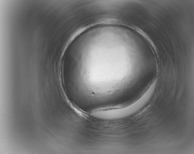 X0000067481437200604281908