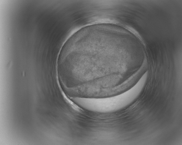 X0000067481439200604281908