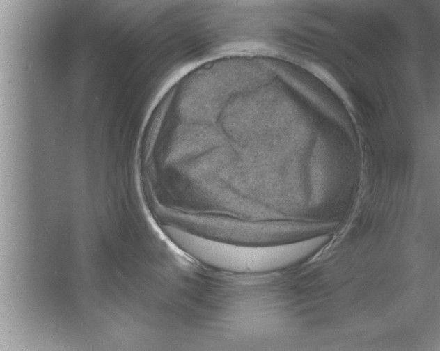 X0000067481440200604281909