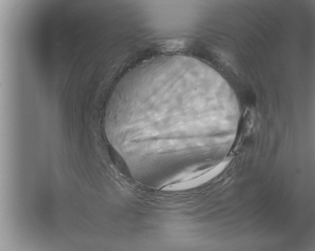 X0000067481441200604281908