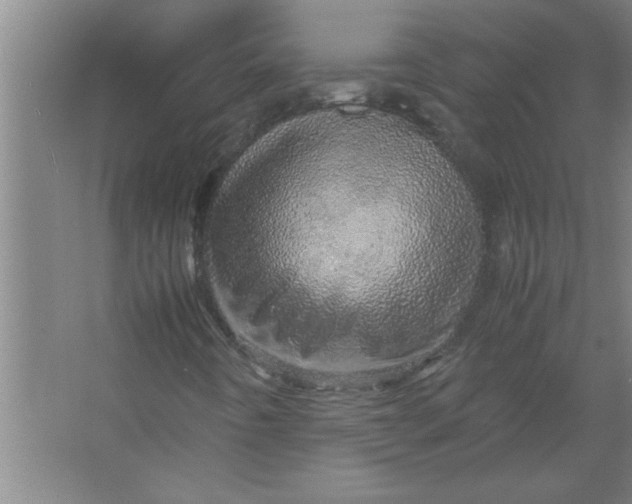 X0000067481442200604281908