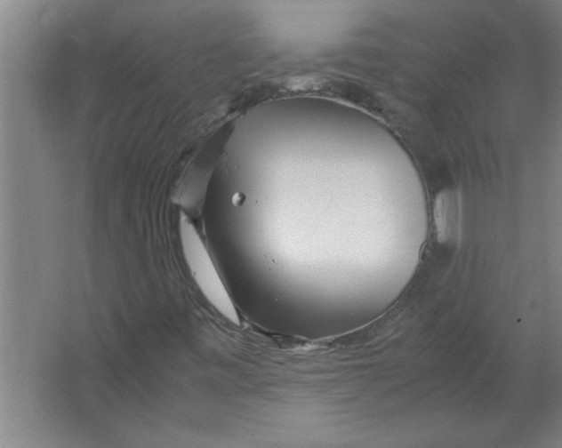 X0000067481443200604281908