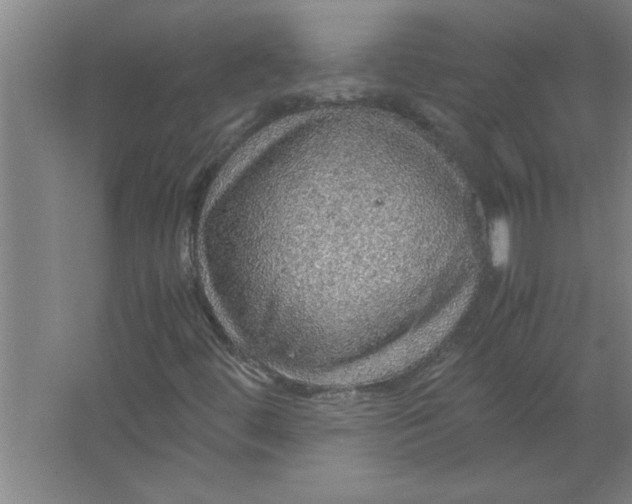 X0000067481444200604281908