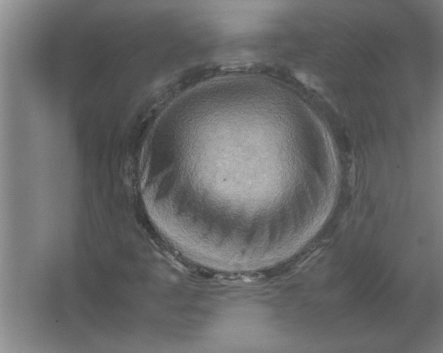 X0000067481445200604281908