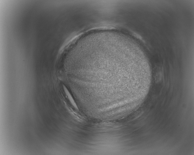 X0000067481448200604281908