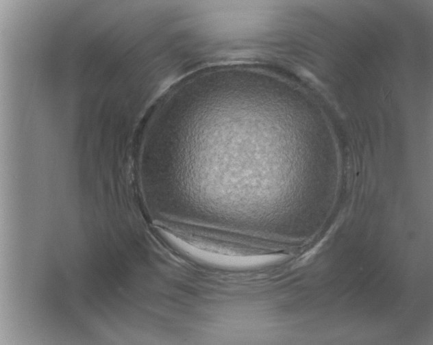 X0000067481449200604281908