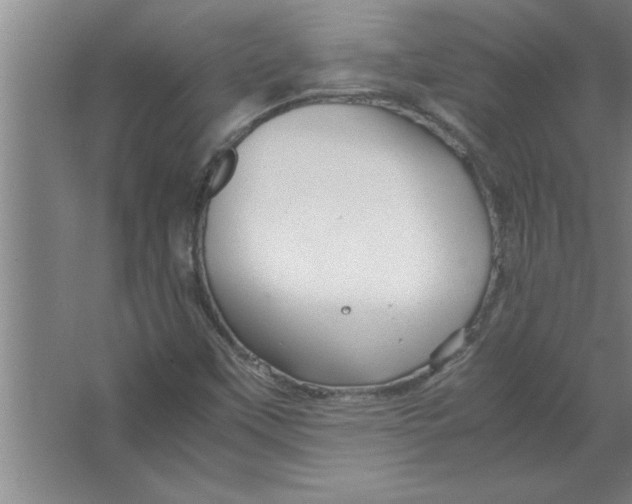 X0000067481451200604281908