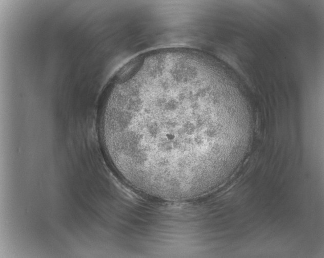 X0000067481452200604281908