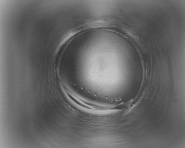 X0000067481453200604281907