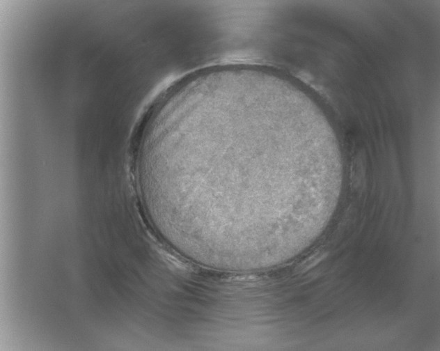 X0000067481454200604281907