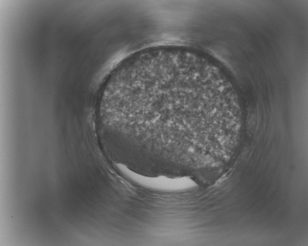 X0000067481455200604281907