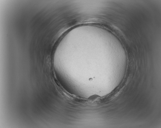 X0000067481457200604281907