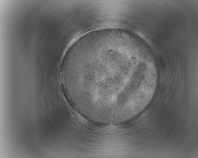 X0000067481459200604281907