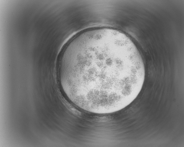 X0000067481460200604281907