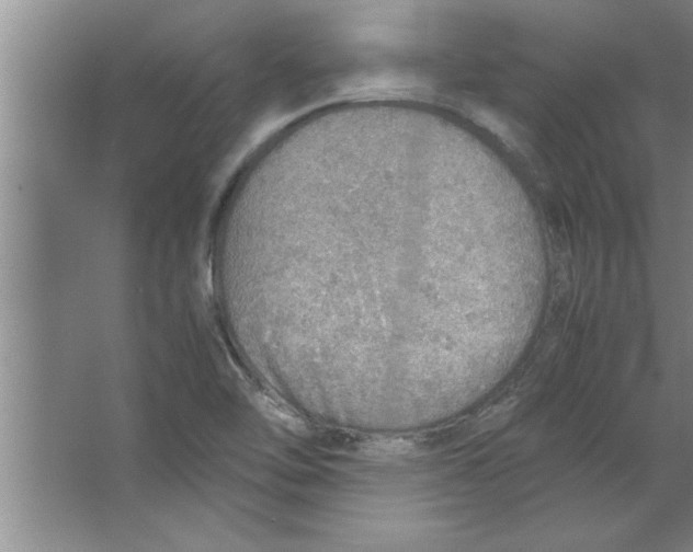 X0000067481462200604281907