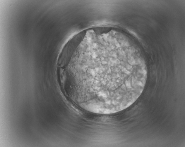 X0000067481463200604281907