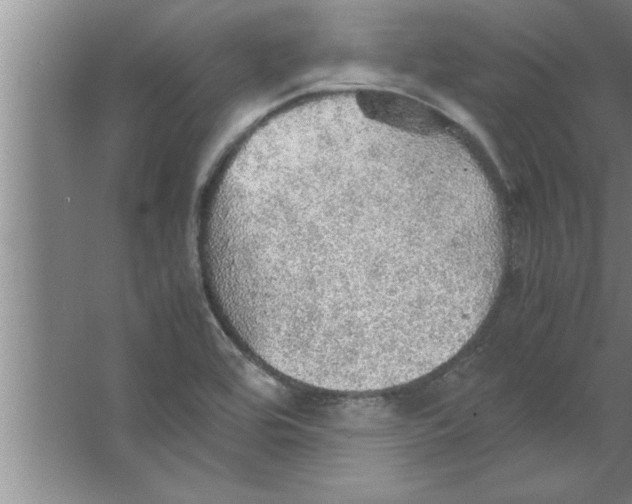 X0000067481464200604281907