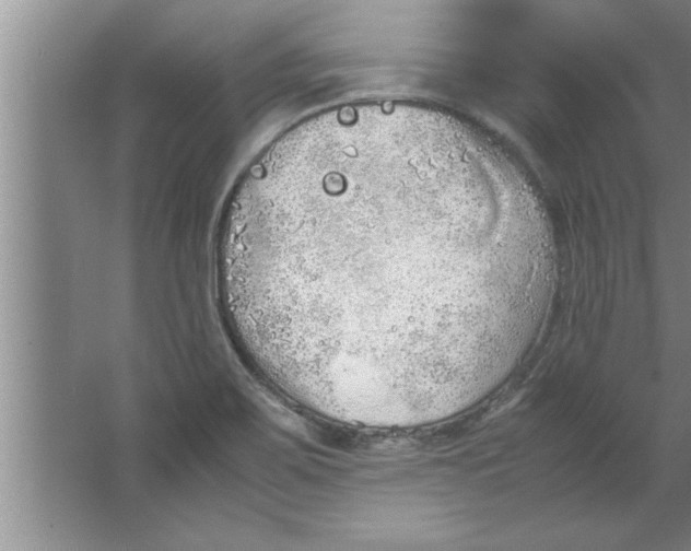 X0000067481467200604281907