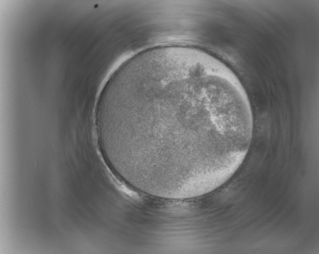 X0000067481470200604281907