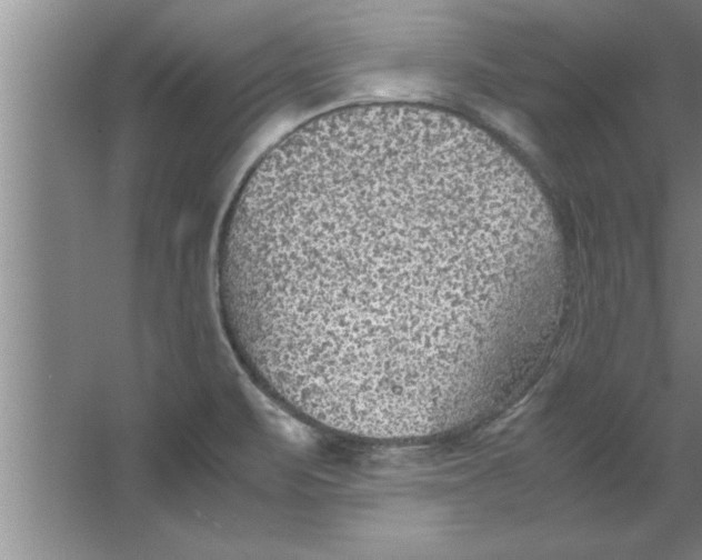 X0000067481471200604281907