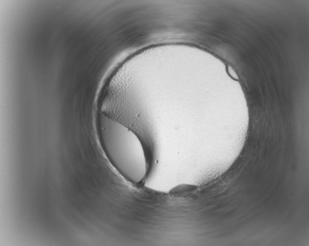 X0000067481472200604281907