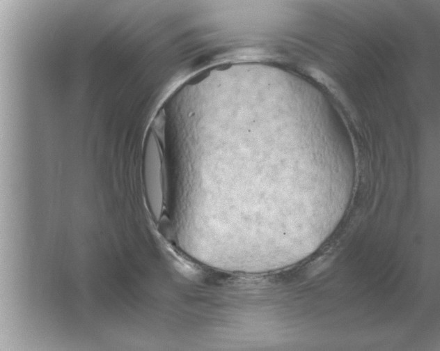 X0000067481473200604281907