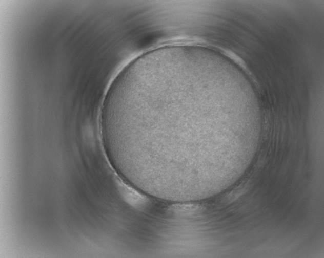 X0000067481474200604281907