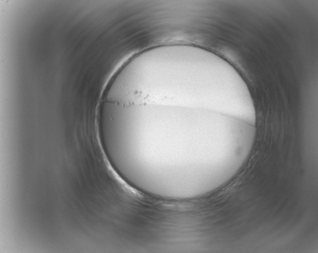 X0000067481476200604281907