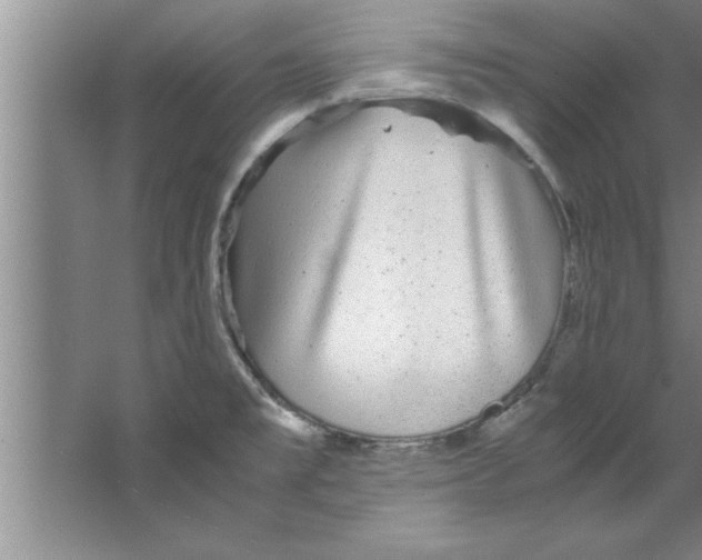 X0000067481477200604281907