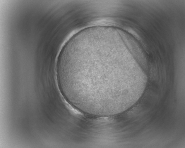 X0000067481478200604281907