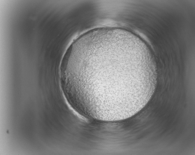 X0000067481479200604281907