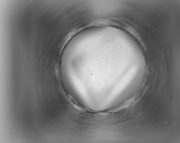 X0000067481481200604281907