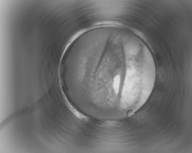 X0000067481482200604281907