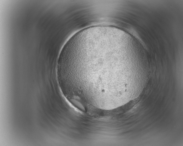 X0000067481484200604281907