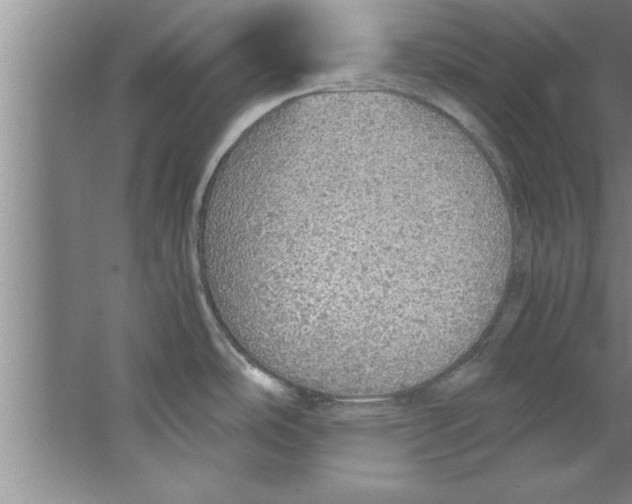 X0000067481486200604281907