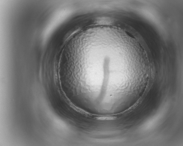 X0000067481487200604281907