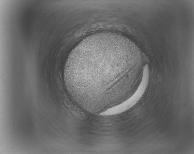 X0000067481489200604281906