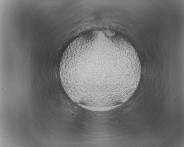 X0000067481490200604281906