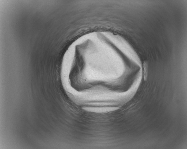 X0000067481491200604281906