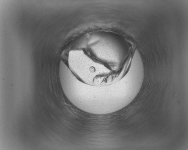 X0000067481492200604281906