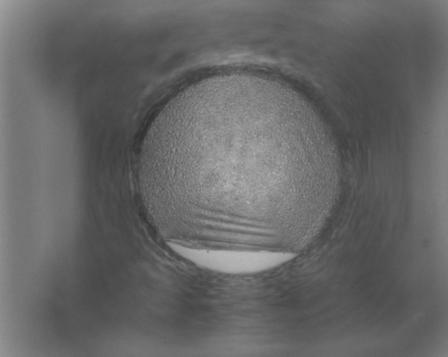 X0000067481493200604281906