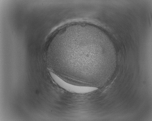 X0000067481494200604281906