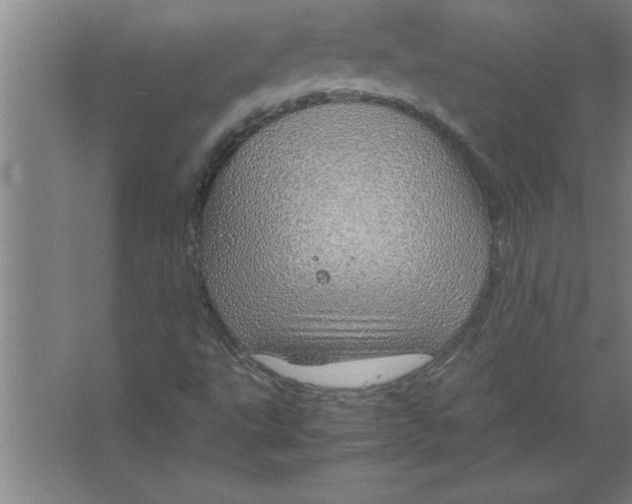 X0000067481495200604281906