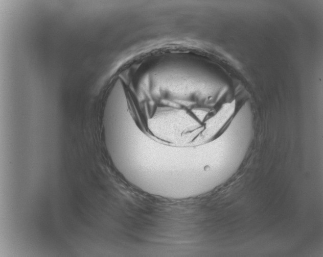 X0000067481496200604281906