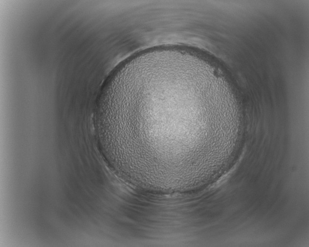 X0000067481497200604281906