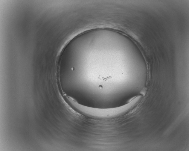 X0000067481500200604281906