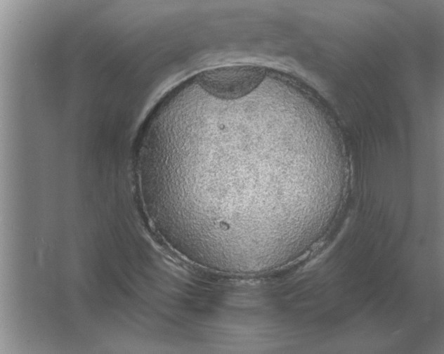 X0000067481501200604281906