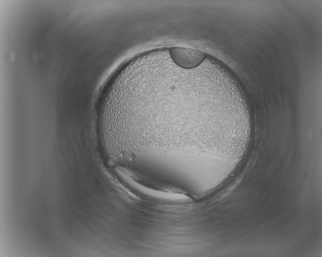 X0000067481502200604281906