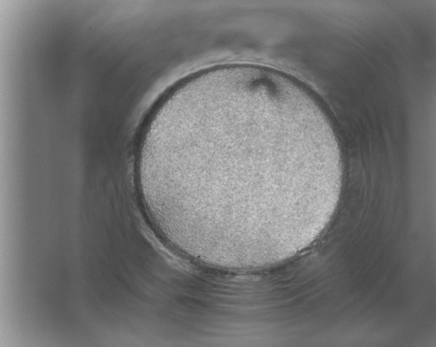 X0000067481503200604281906