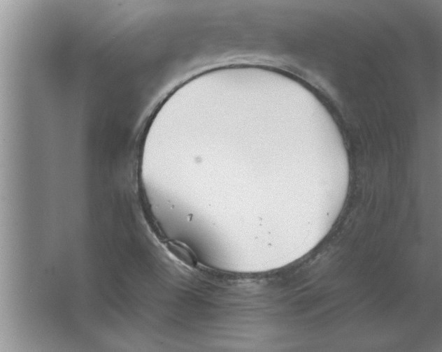 X0000067481504200604281906